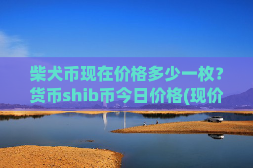 柴犬币现在价格多少一枚?货币shib币今日价格(现价0.00016966元)