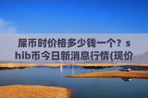 屎币时价格多少钱一个?shib币今日新消息行情(现价0.0001717元)