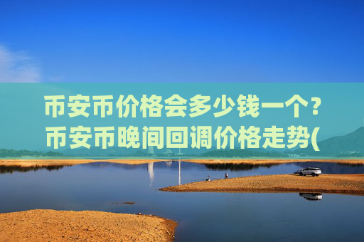 币安币价格会多少钱一个？币安币晚间回调价格走势(现价5012.56元)