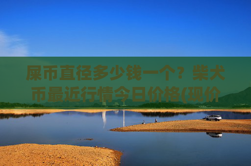 屎币直径多少钱一个？柴犬币最近行情今日价格(现价0.00017114元)