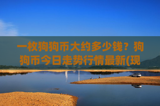 一枚狗狗币大约多少钱？狗狗币今日走势行情最新(现价2.5376元)