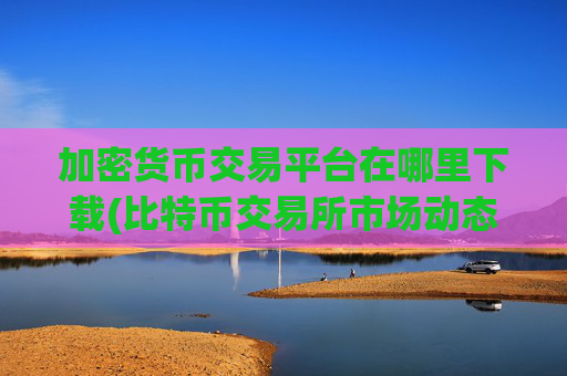加密货币交易平台在哪里下载(比特币交易所市场动态分析)