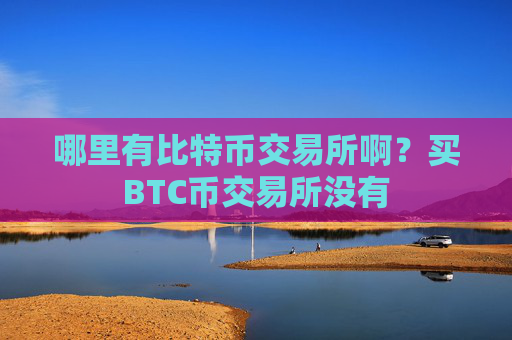 哪里有比特币交易所啊?买BTC币交易所没有