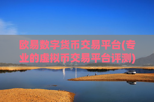 欧易数字货币交易平台(专业的虚拟币交易平台评测)