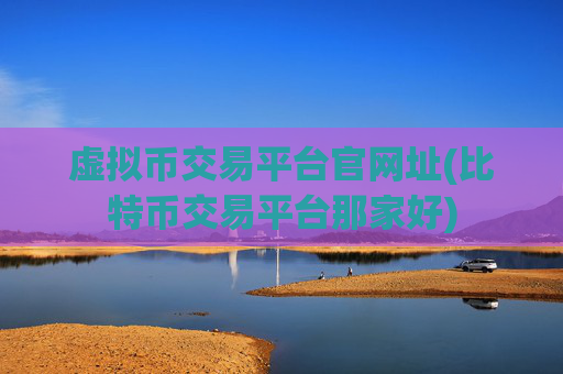 虚拟币交易平台官网址(比特币交易平台那家好)