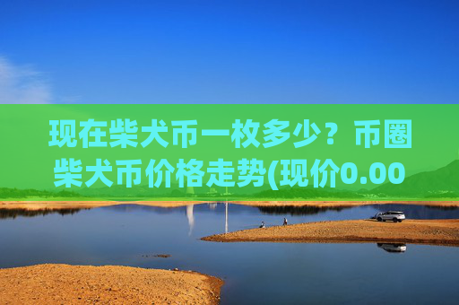 现在柴犬币一枚多少?币圈柴犬币价格走势(现价0.00016839元)