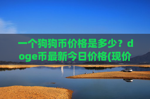 一个狗狗币价格是多少?doge币最新今日价格(现价2.5316元)