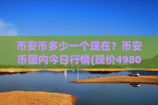 币安币多少一个现在？币安币国内今日行情(现价4980.83元)
