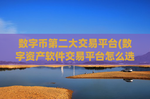 数字币第二大交易平台(数字资产软件交易平台怎么选择)