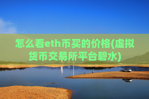 怎么看eth币买的价格(虚拟货币交易所平台碧水)