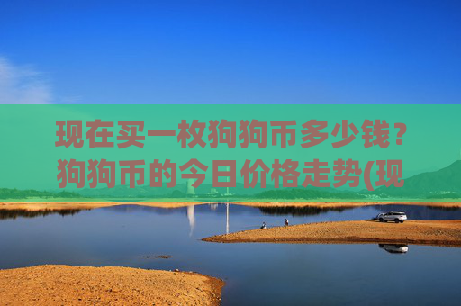 现在买一枚狗狗币多少钱？狗狗币的今日价格走势(现价2.6619元)