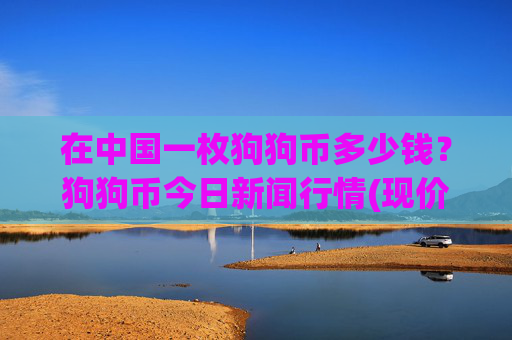 在中国一枚狗狗币多少钱？狗狗币今日新闻行情(现价2.6619元)