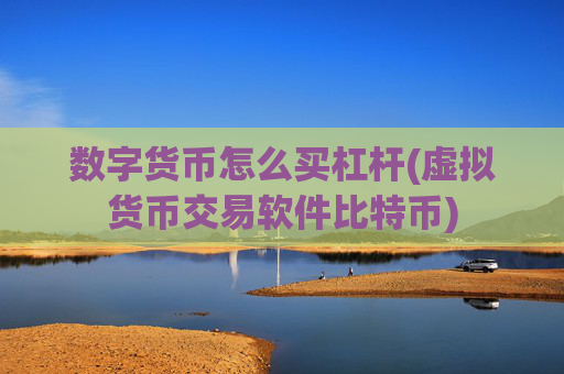 数字货币怎么买杠杆(虚拟货币交易软件比特币)