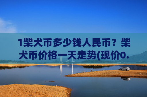 1柴犬币多少钱人民币?柴犬币价格一天走势(现价0.00017676元)