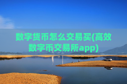数字货币怎么交易买(高效数字币交易所app)