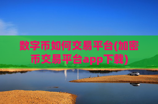数字币如何交易平台(加密币交易平台app下载)