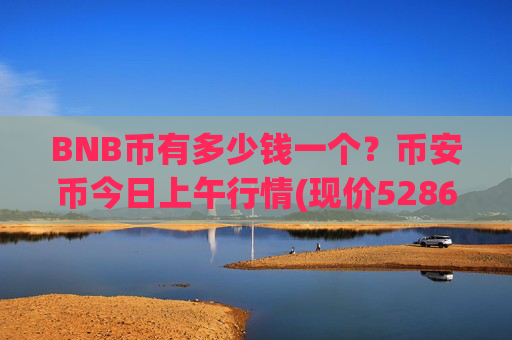 BNB币有多少钱一个?币安币今日上午行情(现价5286元)