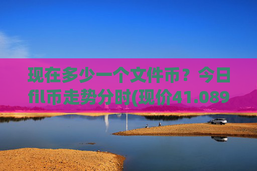 现在多少一个文件币?今日fil币走势分时(现价41.0894元)