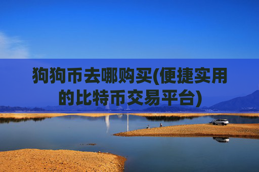 狗狗币去哪购买(便捷实用的比特币交易平台)