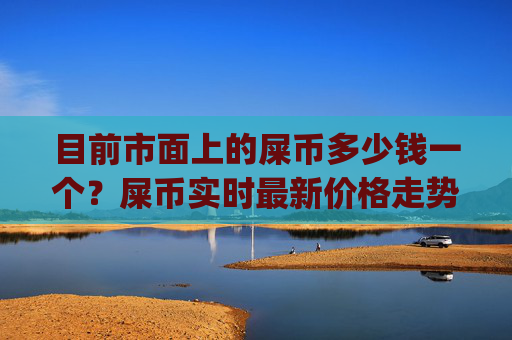 目前市面上的屎币多少钱一个？屎币实时最新价格走势(现价0.00017462元)