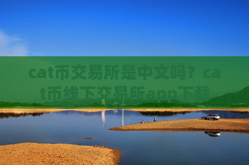 cat币交易所是中文吗？cat币线下交易所app下载