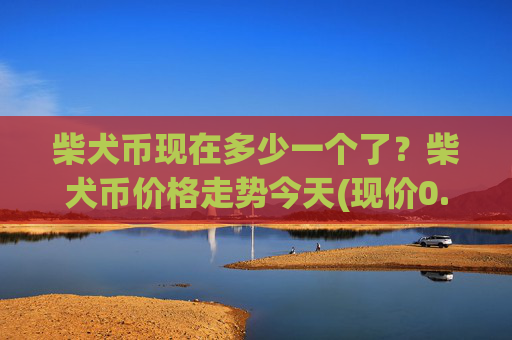柴犬币现在多少一个了?柴犬币价格走势今天(现价0.0001763元)