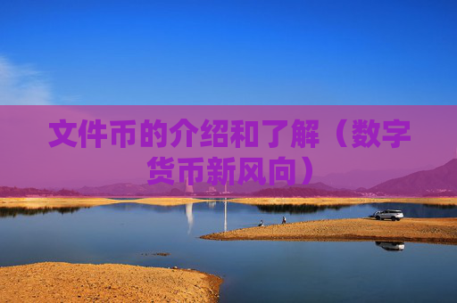 文件币的介绍和了解（数字货币新风向）