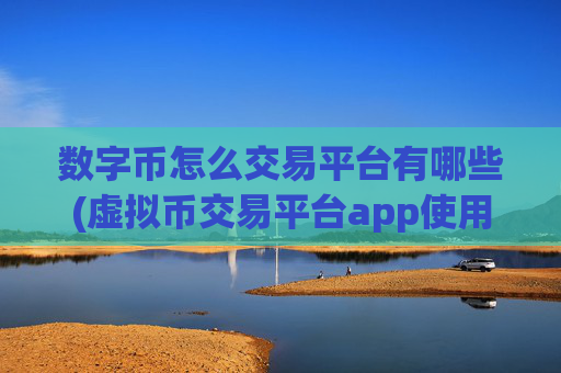 数字币怎么交易平台有哪些(虚拟币交易平台app使用心得)