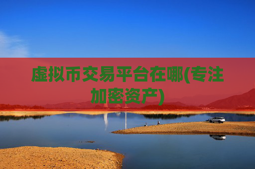 虚拟币交易平台在哪(专注加密资产)