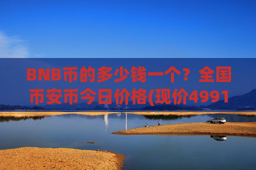 BNB币的多少钱一个?全国币安币今日价格(现价4991.68元)
