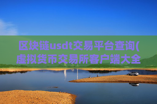 区块链usdt交易平台查询(虚拟货币交易所客户端大全推荐)