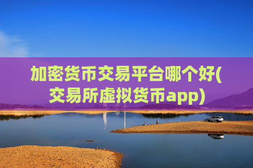 加密货币交易平台哪个好(交易所虚拟货币app)