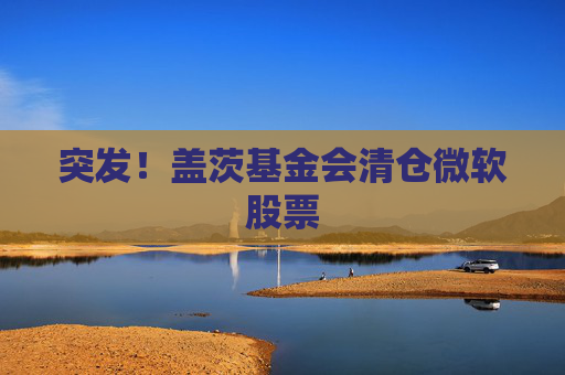 突发!盖茨基金会清仓微软股票