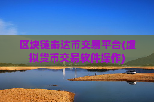 区块链泰达币交易平台(虚拟货币交易软件操作)