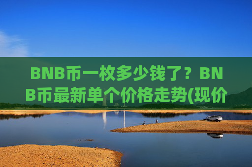 BNB币一枚多少钱了?BNB币最新单个价格走势(现价4975.37元)