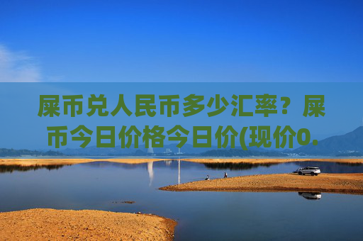 屎币兑人民币多少汇率?屎币今日价格今日价(现价0.00016917元)