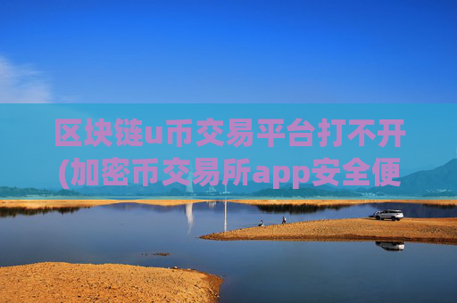 区块链u币交易平台打不开(加密币交易所app安全便捷交易)
