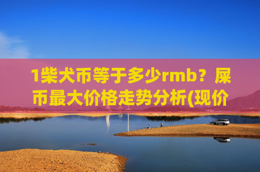 1柴犬币等于多少rmb?屎币最大价格走势分析(现价0.00017162元)
