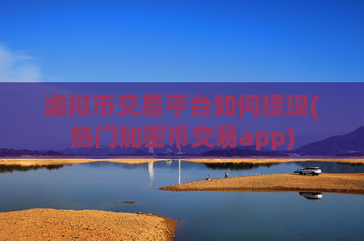虚拟币交易平台如何提现(热门加密币交易app)