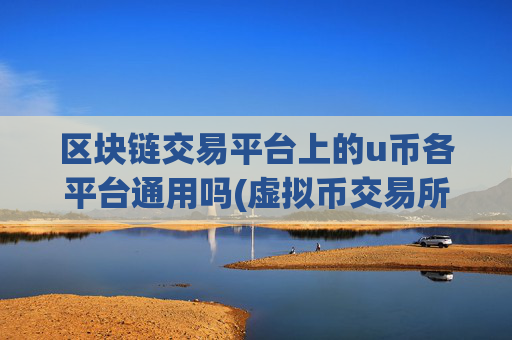 区块链交易平台上的u币各平台通用吗(虚拟币交易所app体验分享)