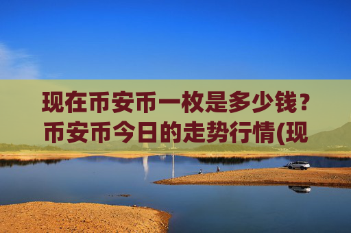 现在币安币一枚是多少钱?币安币今日的走势行情(现价5017.44元)