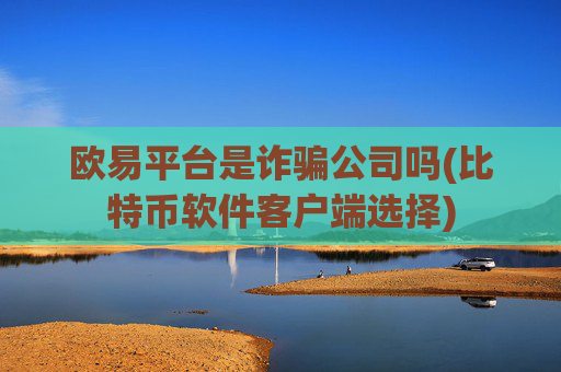 欧易平台是诈骗公司吗(比特币软件客户端选择)