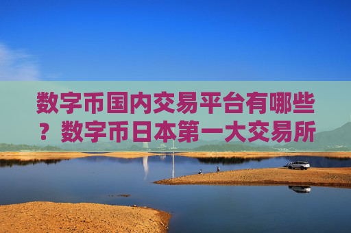数字币国内交易平台有哪些?数字币日本第一大交易所