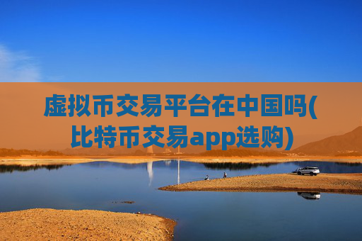 虚拟币交易平台在中国吗(比特币交易app选购)