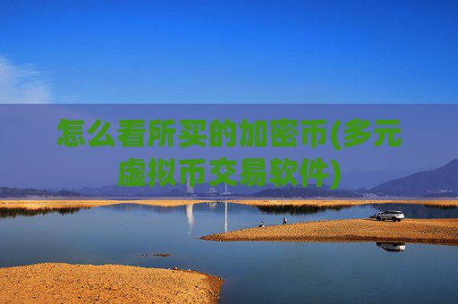 怎么看所买的加密币(多元虚拟币交易软件)