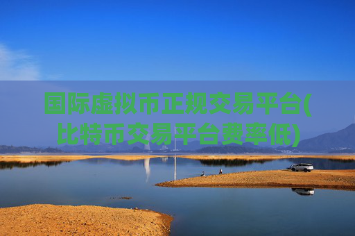 国际虚拟币正规交易平台(比特币交易平台费率低)