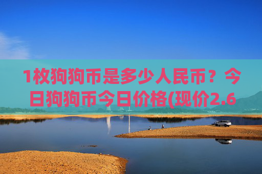 1枚狗狗币是多少人民币？今日狗狗币今日价格(现价2.6532元)