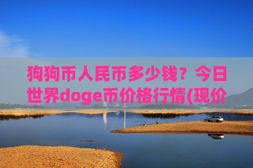 狗狗币人民币多少钱?今日世界doge币价格行情(现价2.6676元)