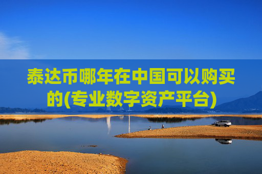 泰达币哪年在中国可以购买的(专业数字资产平台)