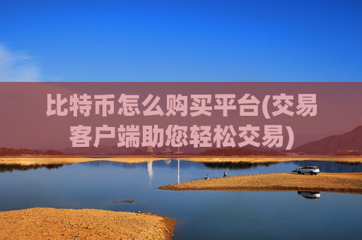 比特币怎么购买平台(交易客户端助您轻松交易)